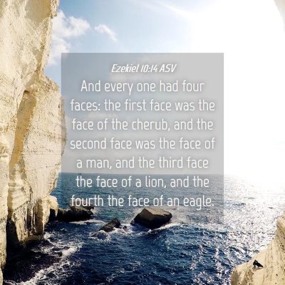 Picture 04 - Ezekiel 10:14 ASV - And every one had four faces: the first face was - Bible Verse Picture