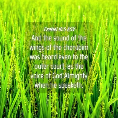 Picture 04 - Ezekiel 10:5 ASV - And the sound of the wings of the cherubim was - Bible Verse Picture