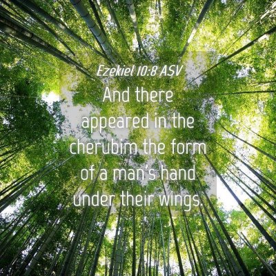 Picture 04 - Ezekiel 10:8 ASV - And there appeared in the cherubim the form of a - Bible Verse Picture