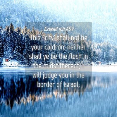 Picture 04 - Ezekiel 11:11 ASV - This `city' shall not be your caldron, neither - Bible Verse Picture