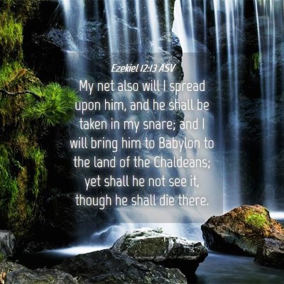 Picture 04 - Ezekiel 12:13 ASV - My net also will I spread upon him, and he shall - Bible Verse Picture