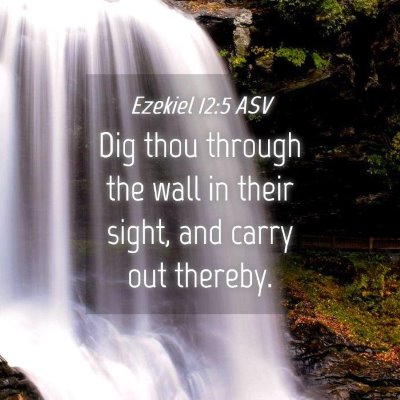Picture 04 - Ezekiel 12:5 ASV - Dig thou through the wall in their sight, and - Bible Verse Picture