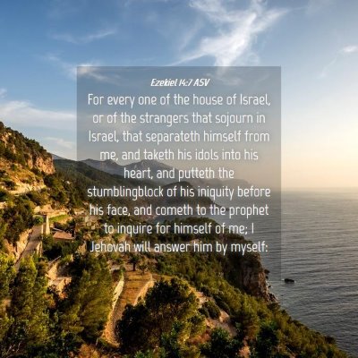 Picture 04 - Ezekiel 14:7 ASV - For every one of the house of Israel, or of the - Bible Verse Picture