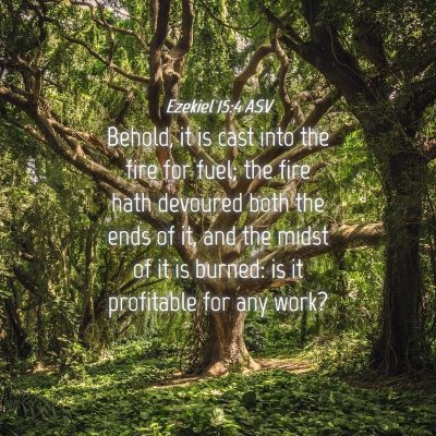 Picture 04 - Ezekiel 15:4 ASV - Behold, it is cast into the fire for fuel; the - Bible Verse Picture