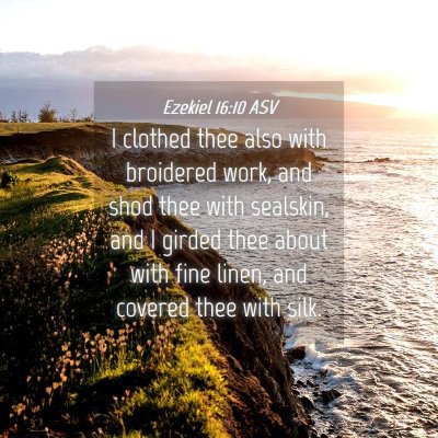 Picture 04 - Ezekiel 16:10 ASV - I clothed thee also with broidered work, and shod - Bible Verse Picture