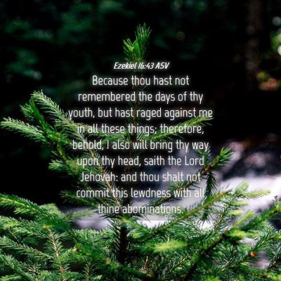 Picture 04 - Ezekiel 16:43 ASV - Because thou hast not remembered the days of thy - Bible Verse Picture
