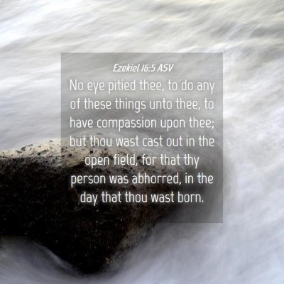 Picture 04 - Ezekiel 16:5 ASV - No eye pitied thee, to do any of these things - Bible Verse Picture