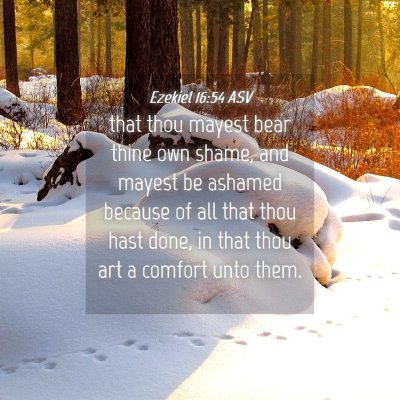 Picture 04 - Ezekiel 16:54 ASV - that thou mayest bear thine own shame, and mayest - Bible Verse Picture