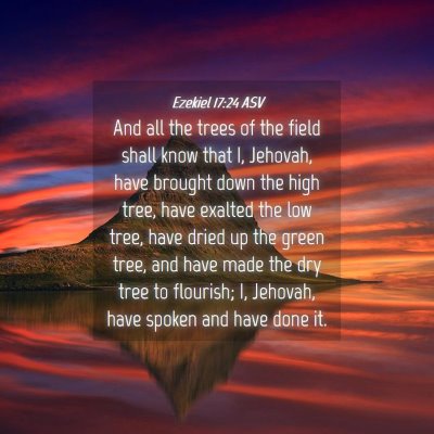 Picture 04 - Ezekiel 17:24 ASV - And all the trees of the field shall know that I, - Bible Verse Picture