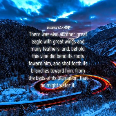 Picture 04 - Ezekiel 17:7 ASV - There was also another great eagle with great - Bible Verse Picture