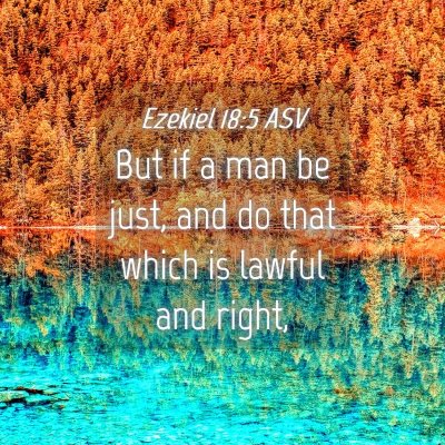 Picture 04 - Ezekiel 18:5 ASV - But if a man be just, and do that which is lawful - Bible Verse Picture