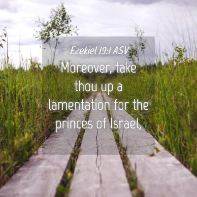 Picture 04 - Ezekiel 19:1 ASV - Moreover, take thou up a lamentation for the - Bible Verse Picture