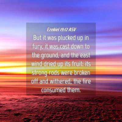 Picture 04 - Ezekiel 19:12 ASV - But it was plucked up in fury, it was cast down - Bible Verse Picture
