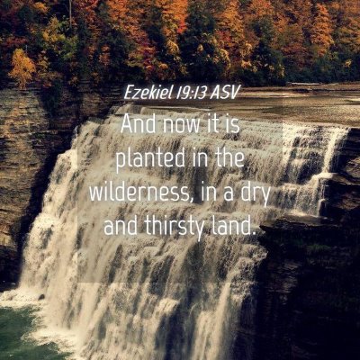 Picture 04 - Ezekiel 19:13 ASV - And now it is planted in the wilderness, in a dry - Bible Verse Picture