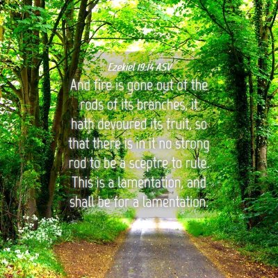 Picture 04 - Ezekiel 19:14 ASV - And fire is gone out of the rods of its branches, - Bible Verse Picture
