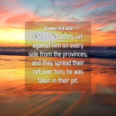 Picture 04 - Ezekiel 19:8 ASV - Then the nations set against him on every side - Bible Verse Picture