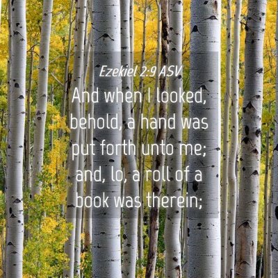 Picture 04 - Ezekiel 2:9 ASV - And when I looked, behold, a hand was put forth - Bible Verse Picture