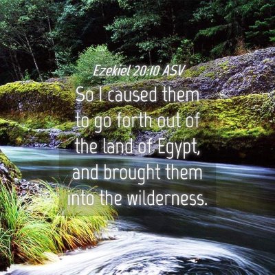 Picture 04 - Ezekiel 20:10 ASV - So I caused them to go forth out of the land of - Bible Verse Picture