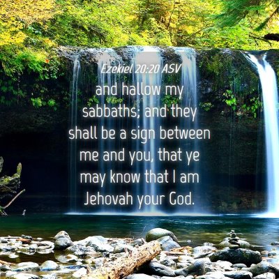 Picture 04 - Ezekiel 20:20 ASV - and hallow my sabbaths; and they shall be a sign - Bible Verse Picture