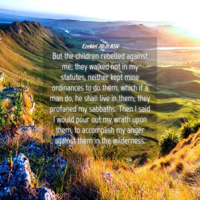 Picture 04 - Ezekiel 20:21 ASV - But the children rebelled against me; they walked - Bible Verse Picture