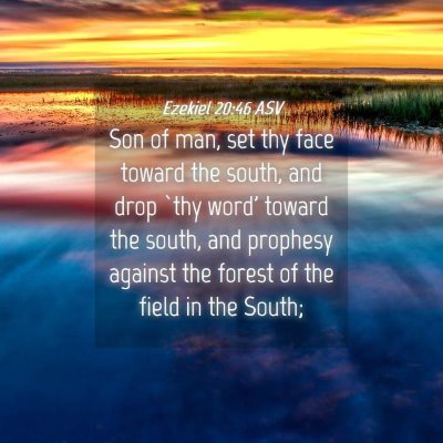 Picture 04 - Ezekiel 20:46 ASV - Son of man, set thy face toward the south, and - Bible Verse Picture