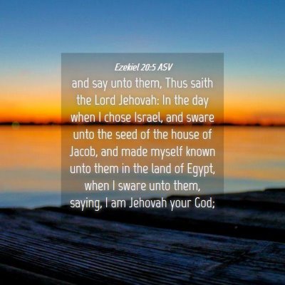 Picture 04 - Ezekiel 20:5 ASV - and say unto them, Thus saith the Lord Jehovah: - Bible Verse Picture