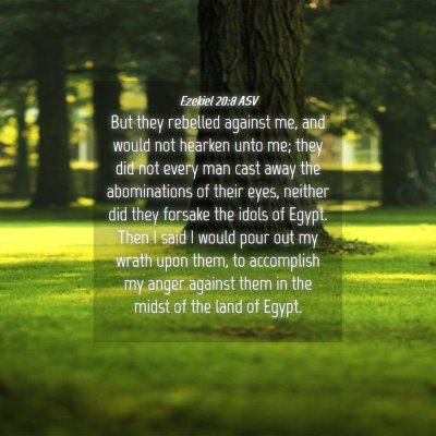Picture 04 - Ezekiel 20:8 ASV - But they rebelled against me, and would not - Bible Verse Picture