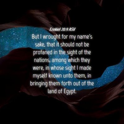 Picture 04 - Ezekiel 20:9 ASV - But I wrought for my name's sake, that it should - Bible Verse Picture