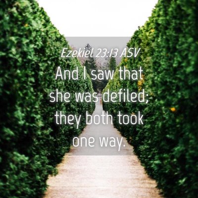 Picture 04 - Ezekiel 23:13 ASV - And I saw that she was defiled; they both took - Bible Verse Picture
