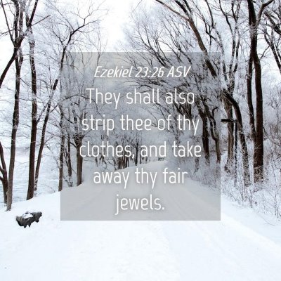 Picture 04 - Ezekiel 23:26 ASV - They shall also strip thee of thy clothes, and - Bible Verse Picture