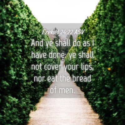 Picture 04 - Ezekiel 24:22 ASV - And ye shall do as I have done: ye shall not - Bible Verse Picture