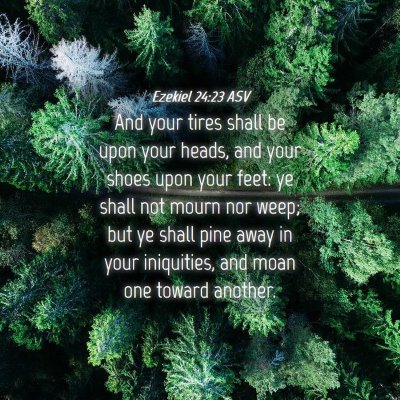 Picture 04 - Ezekiel 24:23 ASV - And your tires shall be upon your heads, and your - Bible Verse Picture