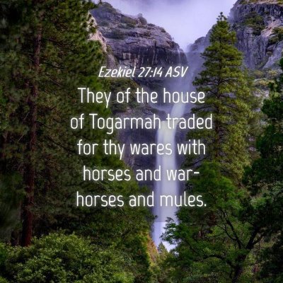 Picture 04 - Ezekiel 27:14 ASV - They of the house of Togarmah traded for thy - Bible Verse Picture
