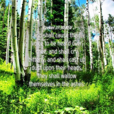 Picture 04 - Ezekiel 27:30 ASV - and shall cause their voice to be heard over - Bible Verse Picture