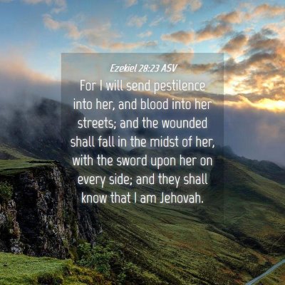 Picture 04 - Ezekiel 28:23 ASV - For I will send pestilence into her, and blood - Bible Verse Picture