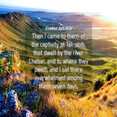 Picture 04 - Ezekiel 3:15 ASV - Then I came to them of the captivity at Tel-abib, - Bible Verse Picture