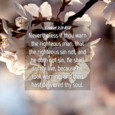 Picture 04 - Ezekiel 3:21 ASV - Nevertheless if thou warn the righteous man, that - Bible Verse Picture