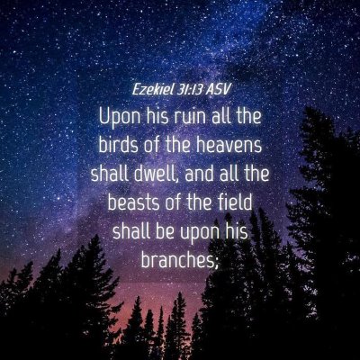 Picture 04 - Ezekiel 31:13 ASV - Upon his ruin all the birds of the heavens shall - Bible Verse Picture