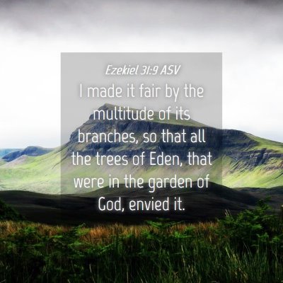Picture 04 - Ezekiel 31:9 ASV - I made it fair by the multitude of its branches, - Bible Verse Picture