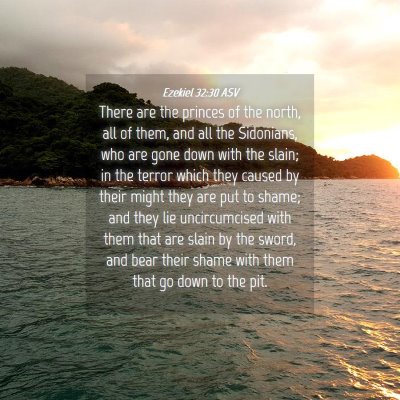 Picture 04 - Ezekiel 32:30 ASV - There are the princes of the north, all of them, - Bible Verse Picture
