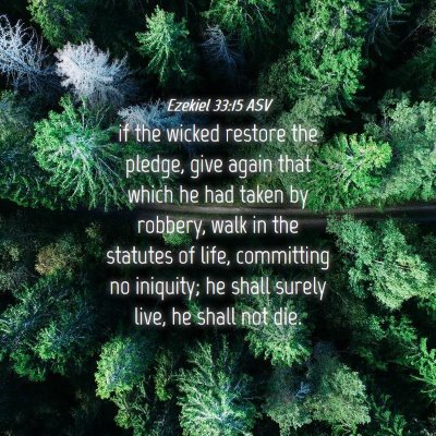 Picture 04 - Ezekiel 33:15 ASV - if the wicked restore the pledge, give again that - Bible Verse Picture