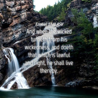 Picture 04 - Ezekiel 33:19 ASV - And when the wicked turneth from his wickedness, - Bible Verse Picture
