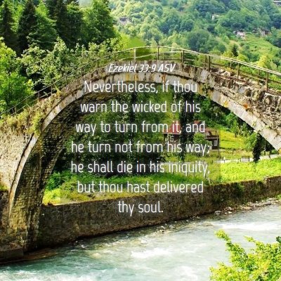 Picture 04 - Ezekiel 33:9 ASV - Nevertheless, if thou warn the wicked of his way - Bible Verse Picture
