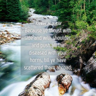 Picture 04 - Ezekiel 34:21 ASV - Because ye thrust with side and with shoulder, - Bible Verse Picture