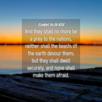 Picture 04 - Ezekiel 34:28 ASV - And they shall no more be a prey to the nations, - Bible Verse Picture