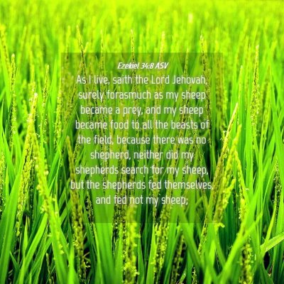 Picture 04 - Ezekiel 34:8 ASV - As I live, saith the Lord Jehovah, surely - Bible Verse Picture