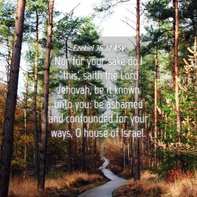Picture 04 - Ezekiel 36:32 ASV - Nor for your sake do I `this', saith the Lord - Bible Verse Picture