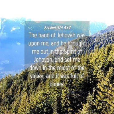 Picture 04 - Ezekiel 37:1 ASV - The hand of Jehovah was upon me, and he brought - Bible Verse Picture