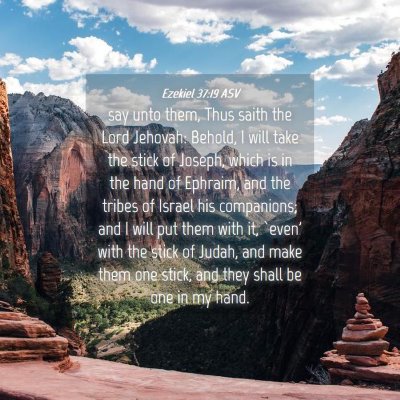 Picture 04 - Ezekiel 37:19 ASV - say unto them, Thus saith the Lord Jehovah: - Bible Verse Picture