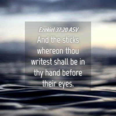 Picture 04 - Ezekiel 37:20 ASV - And the sticks whereon thou writest shall be in - Bible Verse Picture